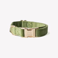 'Green' - Velvet Dog Collar