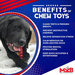 Christmas Tree Nylon Dog Chew Toy for Aggressive Chewers | USA Made & FDA Compliant