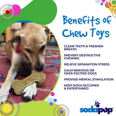 Bone eChew Ultra Durable Nylon Dog Chew Toy for Aggressive Chewers | USA Made