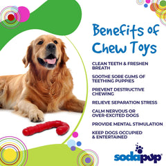 Candy Cane Nylon Dog Toy for Aggressive Chewers | USA Made | SodaPup