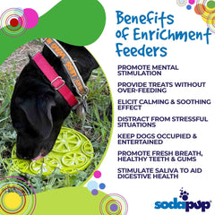 Citrus Design eMat - Enrichment Lick Mat For Dogs and Cats - with Suction Cups | USA Made