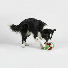 Interactive Snuffle Ball