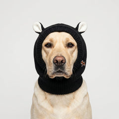 Rabbit Ear Dog Hat