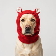 Rabbit Ear Dog Hat
