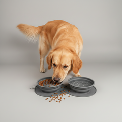 2-in-1 Collapsible Slow Feeder Travel Bowl