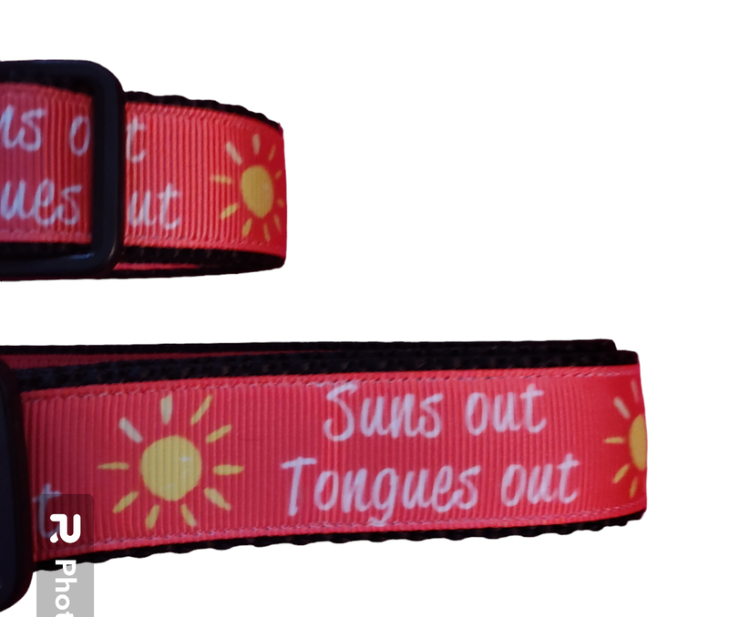 Sun's Out Tongue's Out Black Nylon Dog Collar MD, LG, XL, Leash