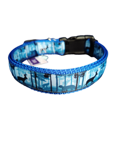 Wild Blue Forest Nylon Dog Collar MD, LG, XL, Leash