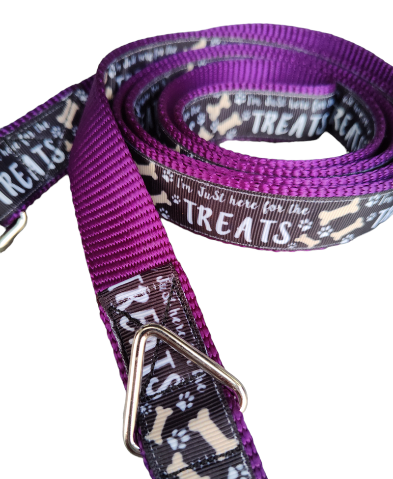 Here For The Treats Purple Nylon Dog Collar MD, LG, XL, Leash