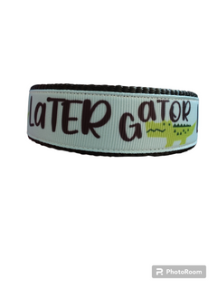 Later Gator Black Nylon Dog Collar MD, LG, XL, Leash