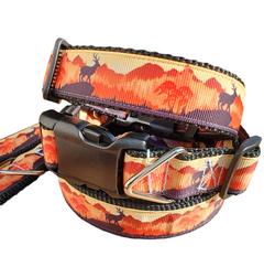 Sunset Forest Black Nylon Dog Collar LG, XL, Leash