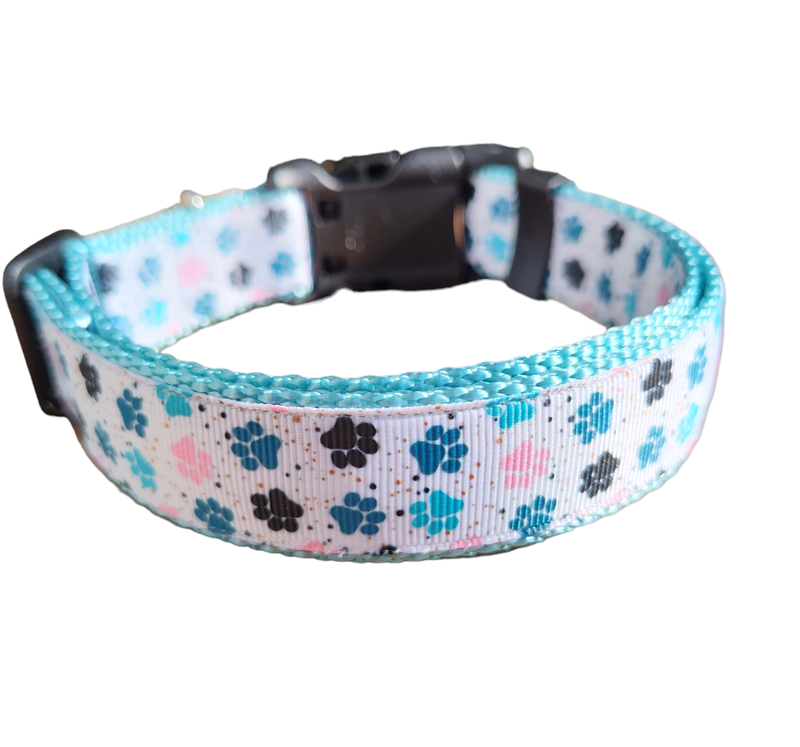 Paw prints Light Blue Nylon Dog Collar MD, LG, XL, Leash
