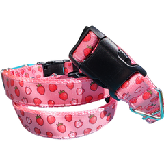 Strawberry Slice Pink Nylon Dog Collar MD, LG, XL, Leash