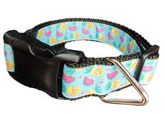 Fruit Party Nylon Dog Collar