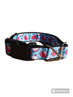 Fishing Bobbers Nylon Dog Collar
