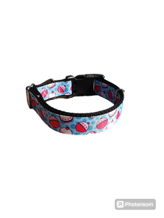 Fishing Bobbers Nylon Dog Collar
