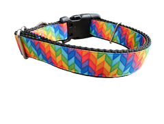 Rainbow Rays Nylon Dog Collar