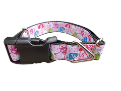 Umbrella Weather Nylon Dog Collar