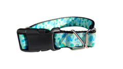 Brachiosaurus Dinosaur Nylon Dog Collar