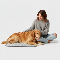 Cooling Dog Bed Mat