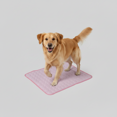 Cooling Dog Bed Mat