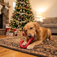 Candy Cane Nylon Dog Toy for Aggressive Chewers | USA Made | SodaPup