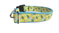 Lemons Nylon Dog Collar