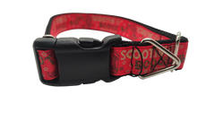 Boot Scootin Boogie Nylon Dog Collar