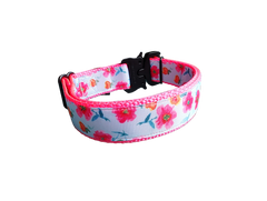 Bright Flowers Nylon Dog Collar