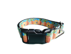 Pineapple Nylon Dog Collar