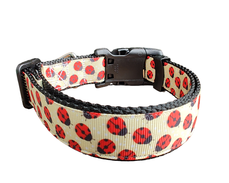 Yellow Ladybugs Black Nylon Dog Collar MD, LG, XL, Leash