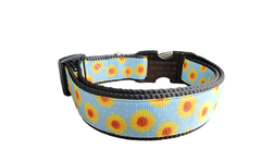 Yellow Flowers Black Nylon Dog Collar MD, LG, XL, Leash
