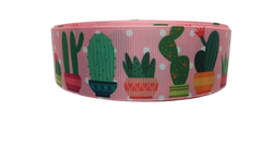 1.5" Wide Potted Cactus Nylon Dog Collar