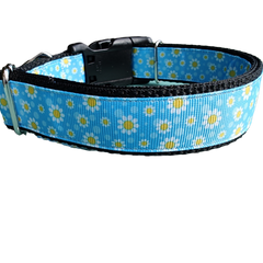 Daisies Nylon Dog Collar