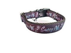 Sassy AF Nylon Dog Collar