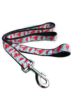 Watermelon Slices Nylon Dog Collar