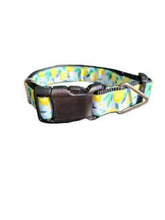 Lemon Flowers Nylon Dog Collar