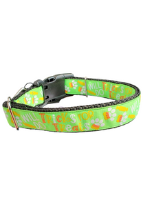 Tricks For Treats Nylon Dog Collar