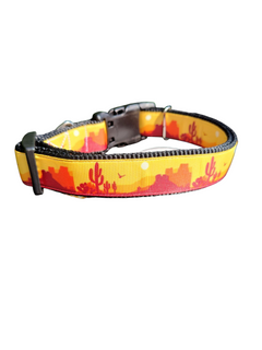 Desert Landscape Nylon Dog Collar