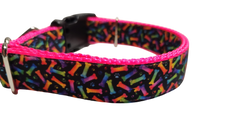 Neon Bones Nylon Dog Collar MD, LG, XL, Leash
