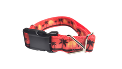 Beach Sunsets Nylon Dog Collar