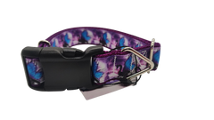 Fantasy Dragon Nylon Dog Collar