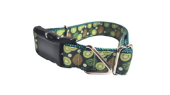 Kiwi Fruit Nylon Dog Collar