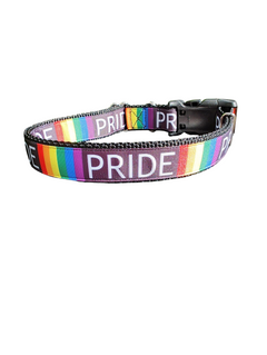 Pride Rainbow Nylon Dog Collar