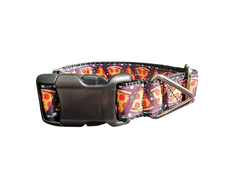 Pizza Slices Nylon Dog Collar
