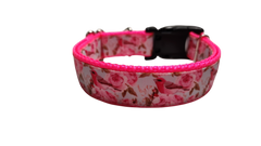 Rose Finch Bird Nylon Dog Collar