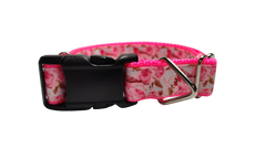 Rose Finch Bird Nylon Dog Collar