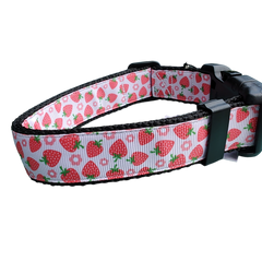 Strawberry Flowers Black Nylon Dog Collar MD, LG, XL, Leash