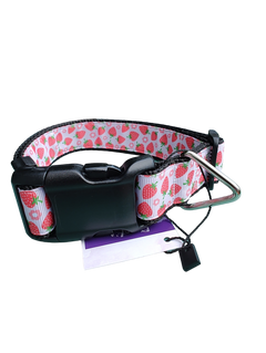 Strawberry Flowers Black Nylon Dog Collar MD, LG, XL, Leash
