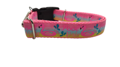 Pool Hair Don't Care Nylon Dog Collar