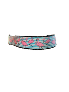 Flamingo Stripes Nylon Dog Collar